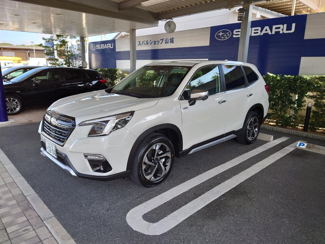 FORESTER
Advance